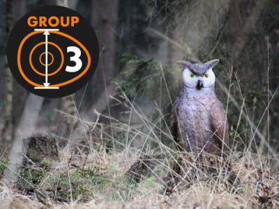 Eleven Bubo Owl Kategorie 3